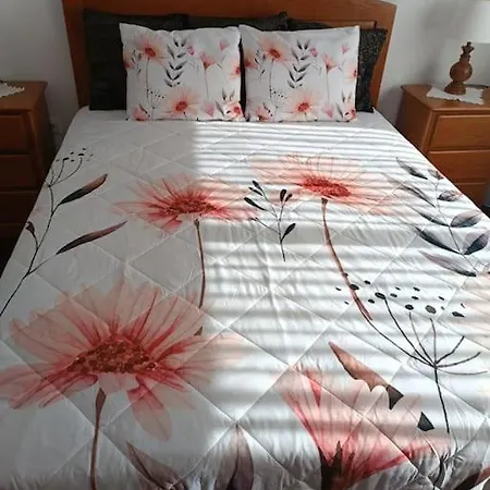 Casa Da Mimosa, A 100 Metros Da De Cha Vila Cha (Porto)