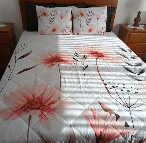 Casa Da Mimosa, A 100 Metros Da De Cha Vila Cha (Porto)